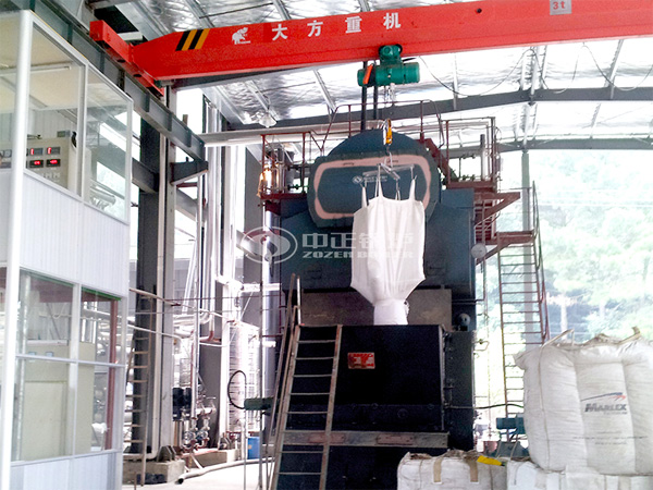 8噸DZL生物質蒸汽鍋爐項目