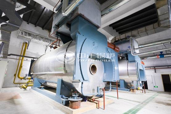 10.5MW WNS系列冷凝式燃氣熱水鍋爐項目（威立雅熱電）